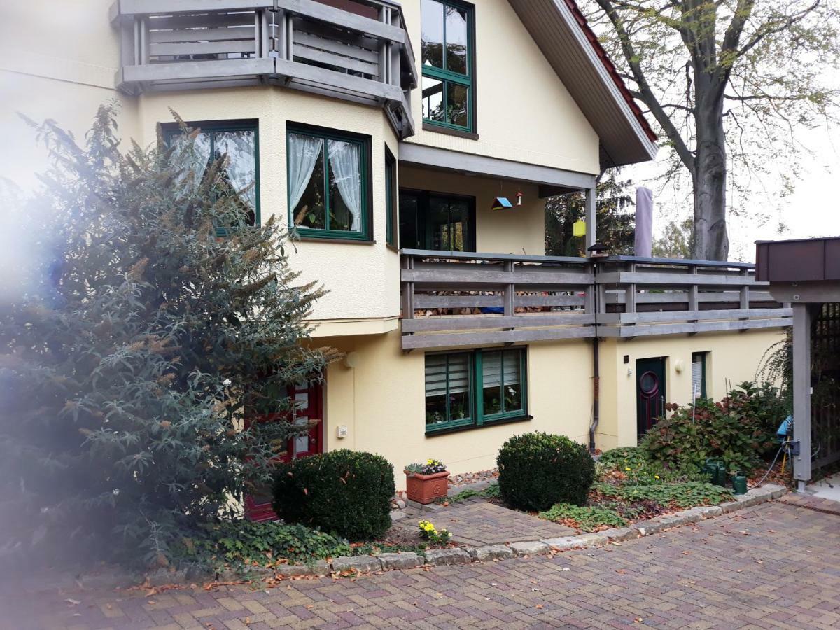 Ferienwohnung Oberloschwitz Dresde Extérieur photo